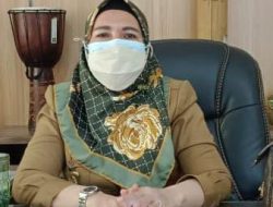 Kadis Pariwisata dan Kebudayaan Langkat: 83 Destinasi Objek Wisata Langkat Provinsi Sumatera Utara Tersebar di 21 Kecamatan