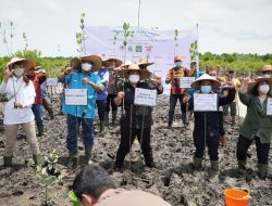 Jaga Lingkungan Pesisir, Syah Afandin Hadiri Penanaman 10 Ribu Bibit Mangrove Kerjasama PT Mowilex dan LPHD di Gebang