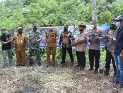 Wakil Ketua DPRD Langkat Hadiri Penanaman 1000 Pohon di Kuala