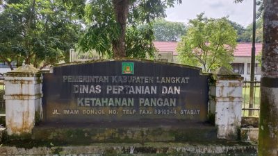 Plt Distan Langkat : Gejala Klinis PMK Tertangani, 146 Masih Sakit dan 9 Ekor Mati