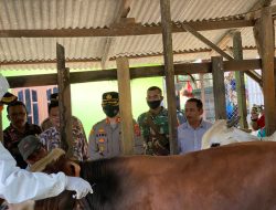 Kapolres Langkat Pantau Vaksin PMK di Secanggang, Kabid Keswan Peternakan Sumut: Stok Vaksin 11.600 Dosis Untuk 2,5 Juta Hewan Ternak di Sumut