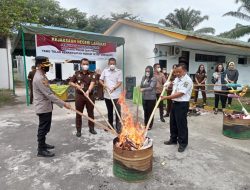 Kejari Langkat Musnahkan Ganja 1.950 Gram dan Sabu 233 Gram