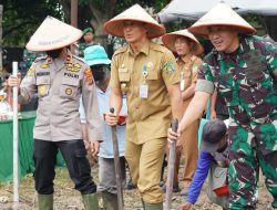 Dukung Ketahanan Pangan, Kodam I/ BB Tanam Jagung 1, 2 Ha di Stabat