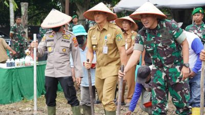 Dukung Ketahanan Pangan, Kodam I/ BB Tanam Jagung 1, 2 Ha di Stabat