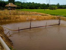 Polemik Bumdes Desa Padang Langkat Agar  Diselesaikan  Arif dan Bijaksana