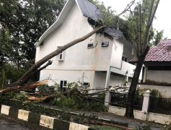 Hujan dan Angin Kencang Landa Kota Stabat , Kantor Sosial dan Mobil Parkir Tertimpa Pohon
