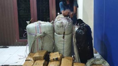 Polda Sumut Amankan Seorang Kurir Ganja 200 Kg Ganja di Dairi