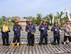 Tekan Inflasi di Daerah,Wali Kota Binjai Ajak Petani Tanam Bawang Merah dan Cabai Merah