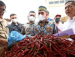 Berhasil Kendalikan Inflasi, Gubsu Edy Rahmayadi Diminta Mendagri Jadi Narsum Rapat Pengendalian Inflasi se-Indonesia