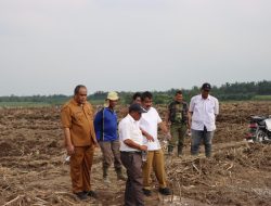 Wali Kota Binjai Tinjau Lahan Seluas 35 Ha Rencana Penanaman Kacang Kedelai di Kelurahan Tunggurono