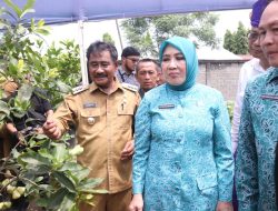 Ketum TP PKK Pusat Tinjau Pilot Project Rumah Pangan dan Launching Bapak Asuh Anak Stunting di Binjai