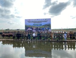 Kapolda dan Pangdam I BB Hadiri Puncak Penanaman Mangrove Nasional di Belawan