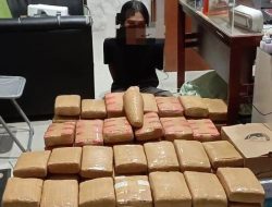 Polda Sumut Tangkap 3 Pembawa 135 Kg Ganja