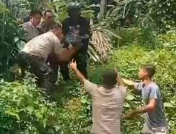 Jembatan Rusak di Langkat, Ibu dan Anak Jatuh ke Sungai