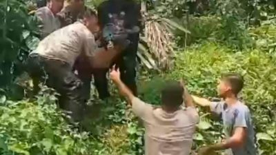 Jembatan Rusak di Langkat, Ibu dan Anak Jatuh ke Sungai