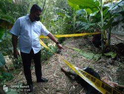Pria Tewas Usai Mencuri Seekor Entok di Stabat