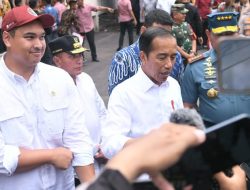 Gubsu Edy Rahmayadi dan Presiden Jokowi Tinjau  Harga Pangan di Medan