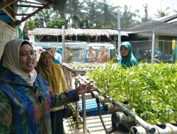 TP PKK Langkat Lakukan Pembinaan Aku Hatinya PKK Desa Padang Berahrang