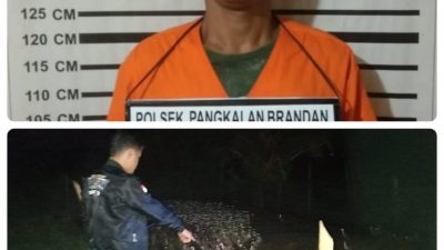 Seorang Pria Langkat Ditangkap Diduga Curi 850 Ekor Bebek