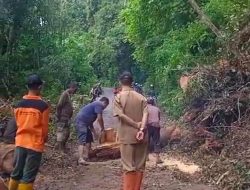 Longsor Tutup Akses Jalan Alternatif Langkat- Karo