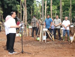 Dihadiri Presiden RI Jokowi, Astra Kembali Berpartisipasi dalam Gerakan Tanam Pohon Bersama