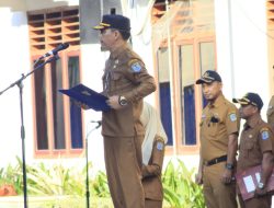 Musim Penghujan, Pemko Binjai Himbau Warga Tebang Pohon yang Rawan Tumbang