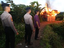 Polda Sumut Gerebek 7 Gubuk Narkoba dan Judi di Sibolangit, 2 Pengedar Narkoba Ditangkap, 17 Orang Diamanakan