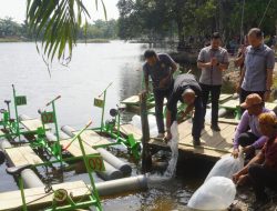 Buka Wisata Bakul Tani , Syah Afandin Berharap Mampu Tingkatkan Ekonomi Masyarakat dan Ikon di Pangkalansusu