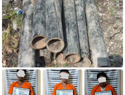 Polisi Tangkap 3 Pencuri Besi Pipa Pertamina Pangkalansusu