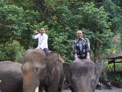 Sekjen Ombudsman RI Tanyakan Pelayanan Wisatawan Mancanegara dan Lokal, Pj Bupati Hasrimy Ingin Ekowisata Tangkahan Harum di Mata Dunia