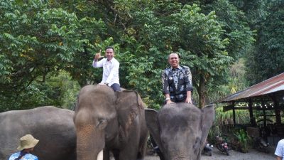 Sekjen Ombudsman RI Tanyakan Pelayanan Wisatawan Mancanegara dan Lokal, Pj Bupati Hasrimy Ingin Ekowisata Tangkahan Harum di Mata Dunia