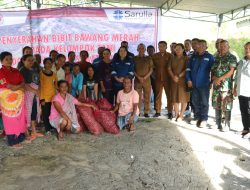 SOL Dampingi Petani Kembangkan Bawang Merah di Tanah Pahae