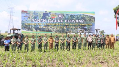 Dukung Pangan Nasional, Pemko Binjai Turut Serta Panen Raya Jagung