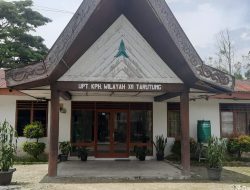 Kepala UPTD KPH Wilayah XII Tarutung Bantah Terjadi Perambahan Hutan di Tapanuli Utara