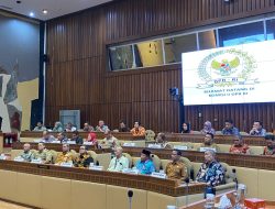 Hadiri Rapat Panja Komisi II DPR, Bobby Nasution Beri Masukan dan Saran RUU tentang Kota Medan