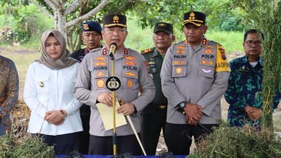 Gunakan Satelit kerjasama BRIN, Polda Sumut Temukan Ladang Ganja di Madina