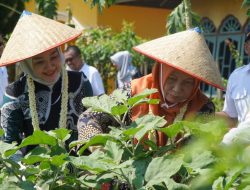 Sekda dan Pj Ketua PKK Kabupaten Langkat Sambut kedatangan Tim Monitoring TP PKK Sumut