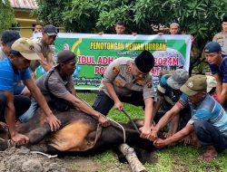 Polres Langkat Sembelih 17 Ekor Hewan Kurban Idul Adha 1445 H