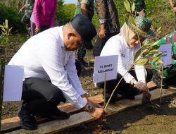 Peringatan Hari Lingkungan Hidup, Pj Bupati Langkat Faisal Hasrimy Tanam 11.000 Pohon Mangrove di Kecamatan Brandan Barat