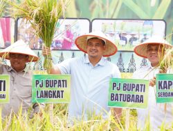 Pj Bupati Langkat Faisal Hasrimy Hadiri Panen Raya di Sergai : Kolaborasi Wujudkan Ketahanan Pangan Sumut