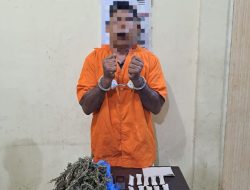 Sat Narkoba Pemilik Daun Ganja Kering seberat 500 Gram Lebih