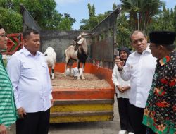Pj Bupati Langkat: Perkuat Kolaborasi dengan KAHMI untuk Pengentasan Stunting