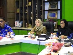 Kota Binjai Evaluasi Implementasi Program Smart City Tahap II 2024