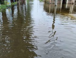 Ribuan Rumah 3 Kecamatan di Langkat Terendam Banjir