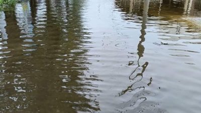 Ribuan Rumah 3 Kecamatan di Langkat Terendam Banjir