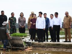 Wapres Gibran Kunjungi Sirapit Serahkan Bantuan Alsintan Senilai Rp20 M , Pj Bupati Langkat Sambut Percepatan Gerakan Tanam Padi