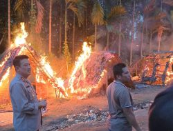 Operasi Gabungan TNI -Polri Gerebek Diduga Lokasi Narkoba di Sumut: Amankan 47 Pelaku dan Musnahkan Barak