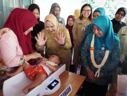 Wakil Ketua Pembina Posyandu Sumut Tinjau Posyandu di Stabat