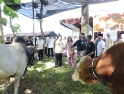 Jajaran Polda Sumut Sembelih 498 Ekor Hewan Kurban di Hari Raya Iduladha 1446 H