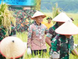 Pemkab Langkat Dukung TNI Perkuat Ketahanan Pangan Lewat Panen Raya di Deliserdang